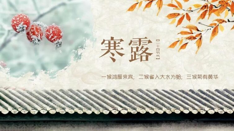 顺时养生丨寒生露凝 秋意渐浓